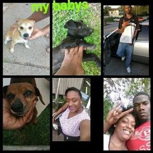 Meet your Posher, Rashawn